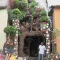 Susipažinkite: San Paulo lūšnyne gyvenantis Brazilijos Gaudi