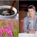 Lietuvoje auganti vaistažolė – tikras lobis: atstoja kavos puodelį ir gerina nervų sistemą