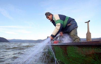 Verslinė žvejyba ežeruose nuo 2015-ųjų bus uždrausta