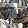 "Альфа" отказалась штурмовать здания в Донецке и Луганске