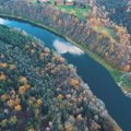 Lietuvoje atsiras vieta, kur miško kirtėjai bus nepageidaujami