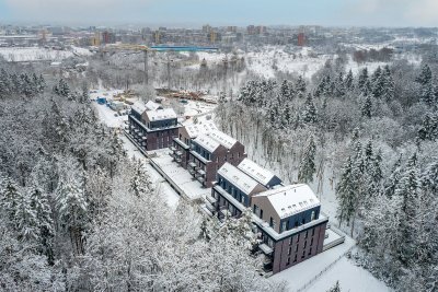 Miško ardų I etapas