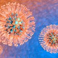 Tyrimas rodo, kad pūslelinę sukeliantis virusas gali būti veiksmingas ginklas prieš pažengusį vėžį
