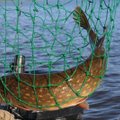 Saugodami lydekas patikrino daugiau nei 7000 žvejų