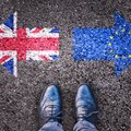 Переговоры о выходе Британии из ЕС: Тереза Мэй в кольце врагов