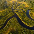Nerimą keliantis mokslininkų įspėjimas: Amazonės miškai gali skatinti klimato kaitą