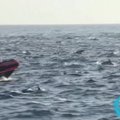 Šimtai per bangas šokinėjančių delfinų netoli Kalifornijos krantų
