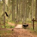 Vainagių miško pažintinis takas – stebina nuo pat pirmų žingsnių, bet ten vykti patariama tik saulėtą dieną
