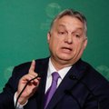 На саммите ЕС премьер Венгрии заявил, что премьер Нидерландов "ненавидит его или Венгрию"