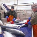 Klestinčiame žuvies fabrike lietuviai yra vertinami darbuotojai