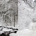 Pažintiniai takai žiemą: vaizdai gniaužia kvapą