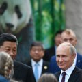 Putinui – ypatinga „dovana“ iš Kinijos: dar teks išsiaiškinti, ką ji reiškia