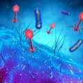 Netikėta saugumo grėsmė: mikrobai tampa atsparūs turimiems vaistams greičiau, nei sukuriami nauji medikamentai