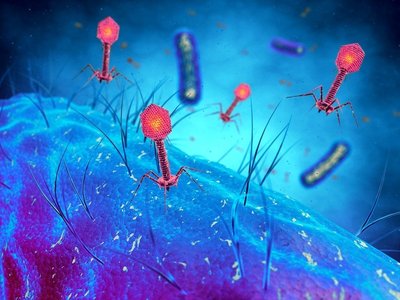 Bakterijas valgantys virusai