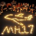 Парламент Нидерландов одобрил расследование роли Украины в деле MH17