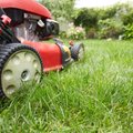 Kad pavasarį netektų pirkti naujos žoliapjovės – ką būtina žinoti prieš paliekant sodo techniką žiemoti?