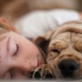 Vaikų bendravimas su šunimis: grėsmė ar lavinimas?