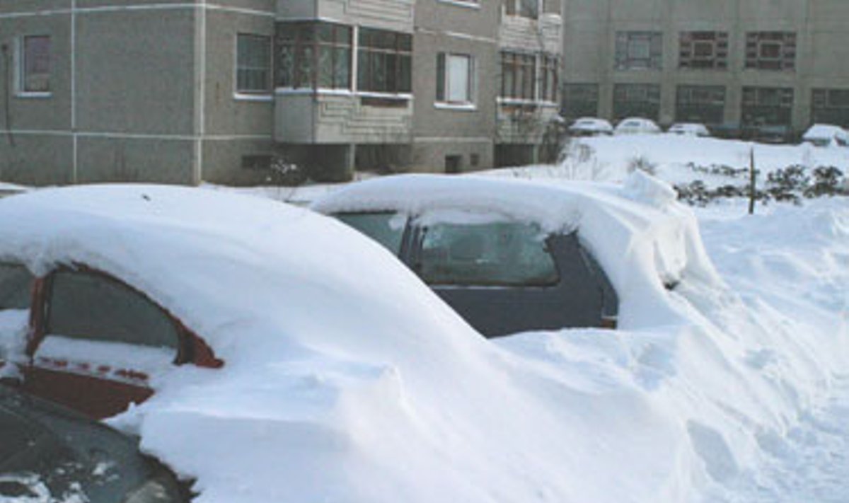 Žiema, sniegas, mašinos