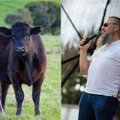 Ūkininkas sugriovė mitą apie skaniausią mėsą: jei norite kažko elitinio – rinkitės seną karvę
