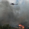 Graikijoje kilus naujam miškų gaisrui evakuojami gyventojai