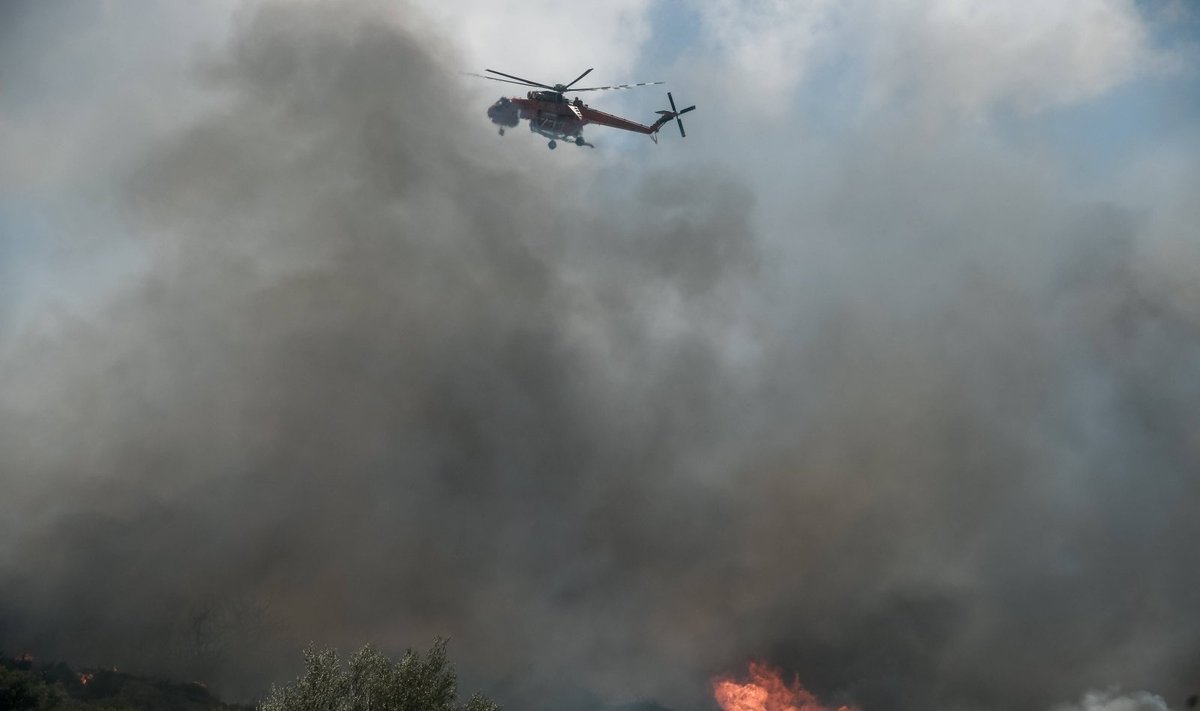 Miškų gaisrai Graikijoje