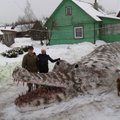 Stulbinanti lietuvio išmonė Švenčionių r. – 16 metrų krokodilas iš sniego