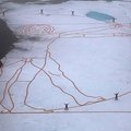 Menininkas padarė Da Vinci „Vitruvijaus žmogus“ eskizą ant ledo lyties