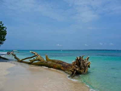  Isla Bastimentos nacionalinis jūrinis parkas, Panama. (Michael McCullough nuotr. /CC BY 2.0)