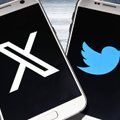 „Twitter“ keičia pavadinimą į „X“: ekspertė įvardijo, kokie pokyčiai dar laukia