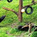 „Slaptas pandų gyvenimas“ (57 serija): naujų žaislų kokybės ekspertai