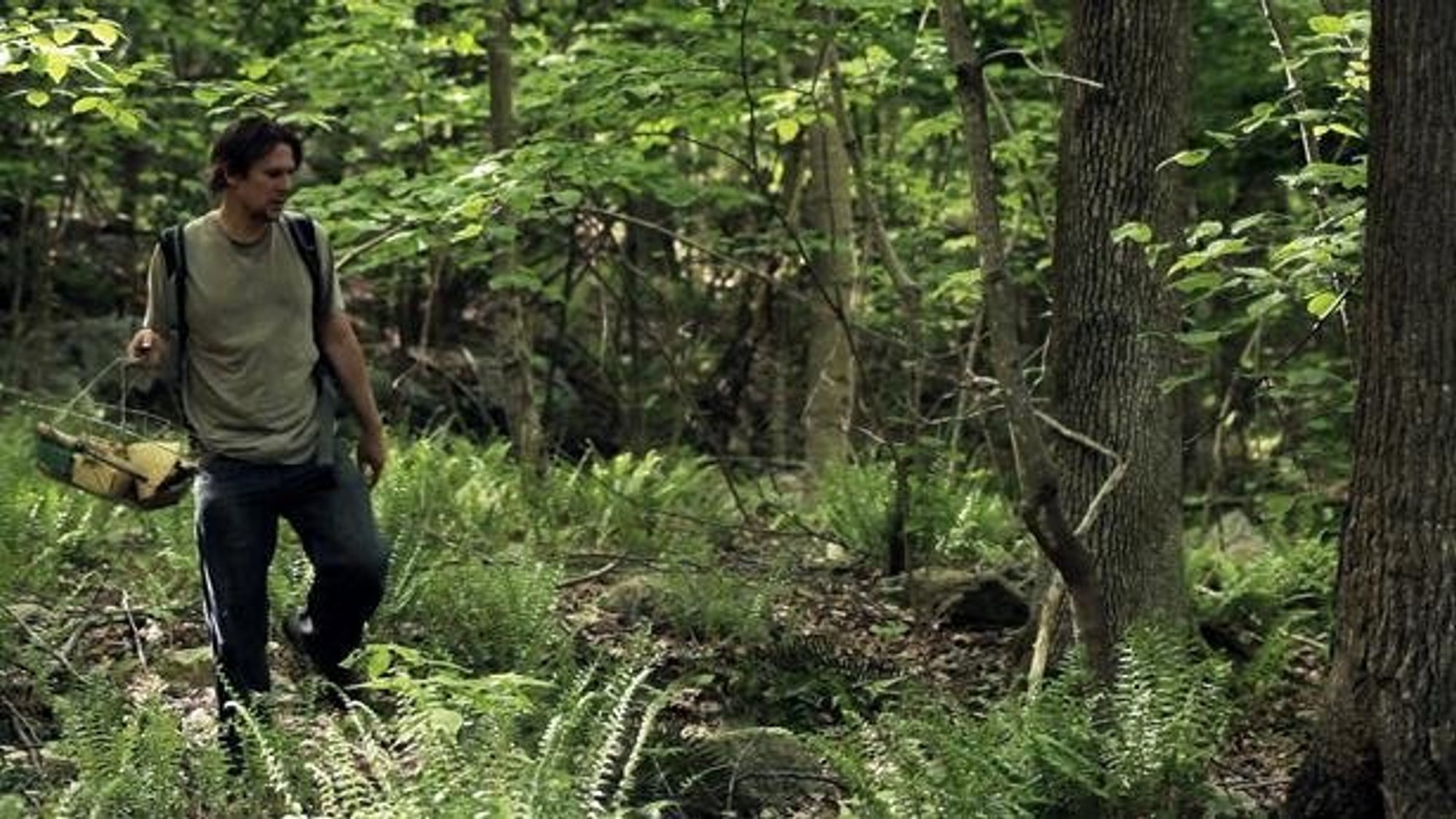 Kino ekranuose – rudeniškas „Filmas apie meilę ir grybus“ - Delfi grynas