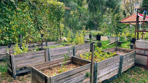 Kapinėse augina daržoves, o bažnyčioje įkūrė restoraną – šventvagiška ar sumanu?