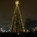 Alytaus rotušės aikštėje sužibo Dzūkijos sostinės Kalėdų eglė