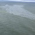 Į Baltijos jūrą išsiliejus 300 litrų naftos, aplinkosaugininkai praneša: šiandien teršalai pasieks Latvijos teritorinius vandenis