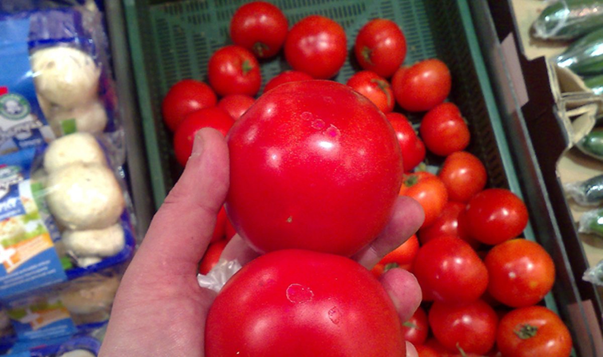 Dažantys pomidorai nevartok.lt nuotr.
