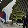 Ekspertas: informacijos, kas paleido raketą į MH17 lainerį, turi visos pusės