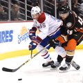 Anahaimo „Ducks“ ledo ritulininkai tapo absoliučiais NHL pirmenybių lyderiais