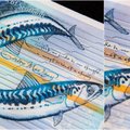 Žuvis ant naujo škotiško banknoto piešė joms alergiškas dailininkas
