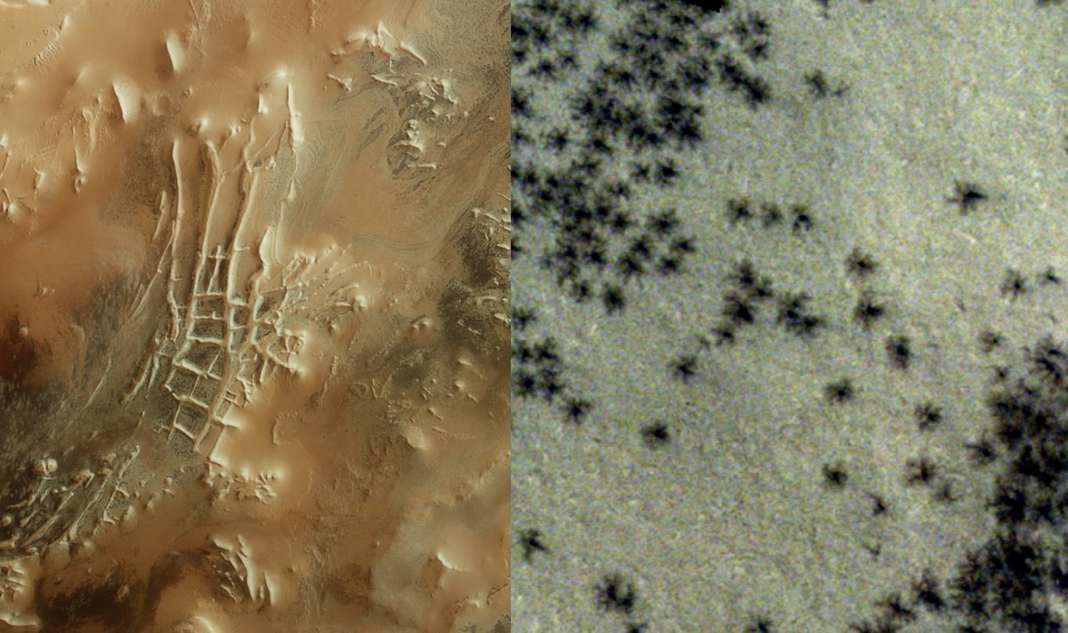 Struktūros Marse primena voriukus ar net senovinio miesto likučius. ESA/DLR/FU Berlin nuotr.