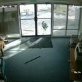 Nufilmuota: Kolorade į biurą besibraunantis ožys sudaužė durų stiklus