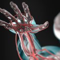 „Antėja laboratorija“ pristatė pirmąjį Baltijos šalyse „3D žmogaus kūno modelio“ tyrimų pasirinkimo įrankį