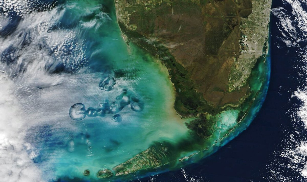 Cavum debesų reiškinys ties Florida. NASA Earth Observatory/Michala Garrison nuotr.