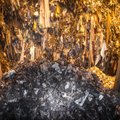 Seimas raginamas uždrausti įvežti atliekas deginimui