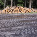 Panevėžio aplinkosaugininkai tikrino medienos apdirbimo įmones: nustatyta pažeidimų