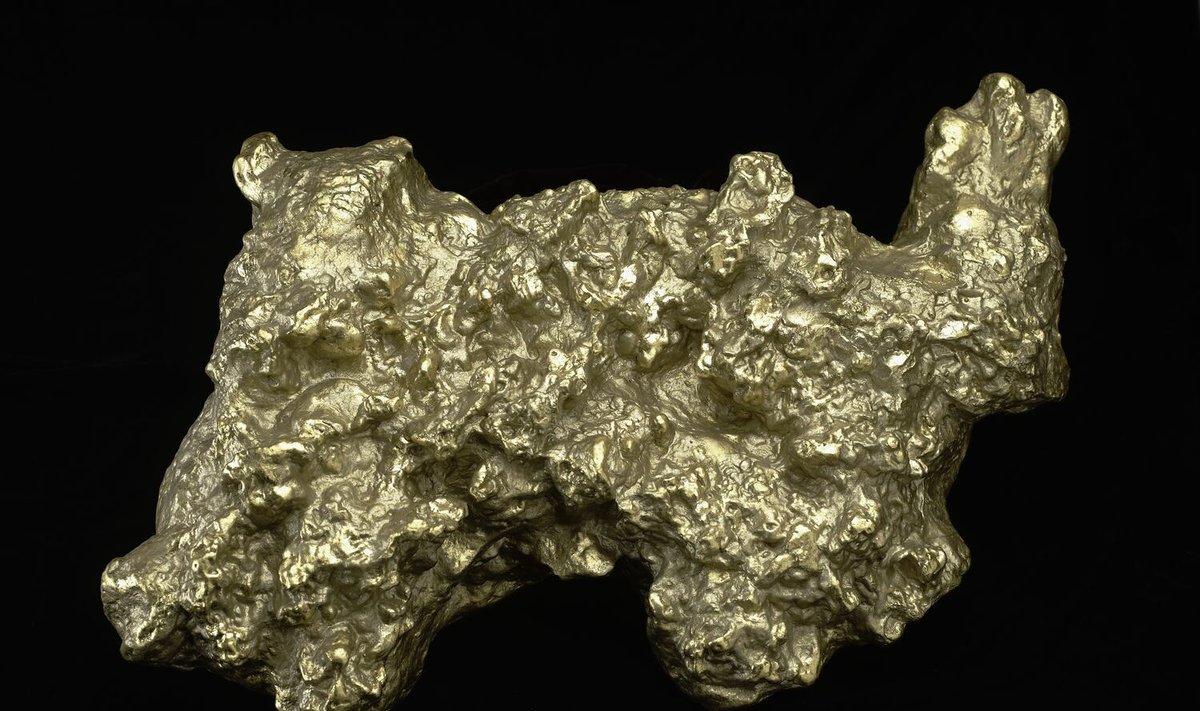 Didžiausias pasaulyje aukso grynuolis. Scanpix/Museums Victoria / CC BY nuotr.