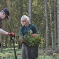 Kviečia registruotis į Nacionalinį miškasodį: šiemet planuojama įveisti rekordinį plotą naujų miškų