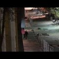 Nufilmuotas Kauno Laisvės alėją niokojęs jaunuolis: jis sulaikytas per 10 minučių