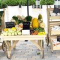 Vilniečiai kviečiami į naują šviežių daržovių turgų, kuriame nebus pardavėjų
