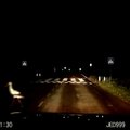 Nufilmuota: gatvėje netikėtai pasirodęs gandriukas neišgąsdino vairuotojo