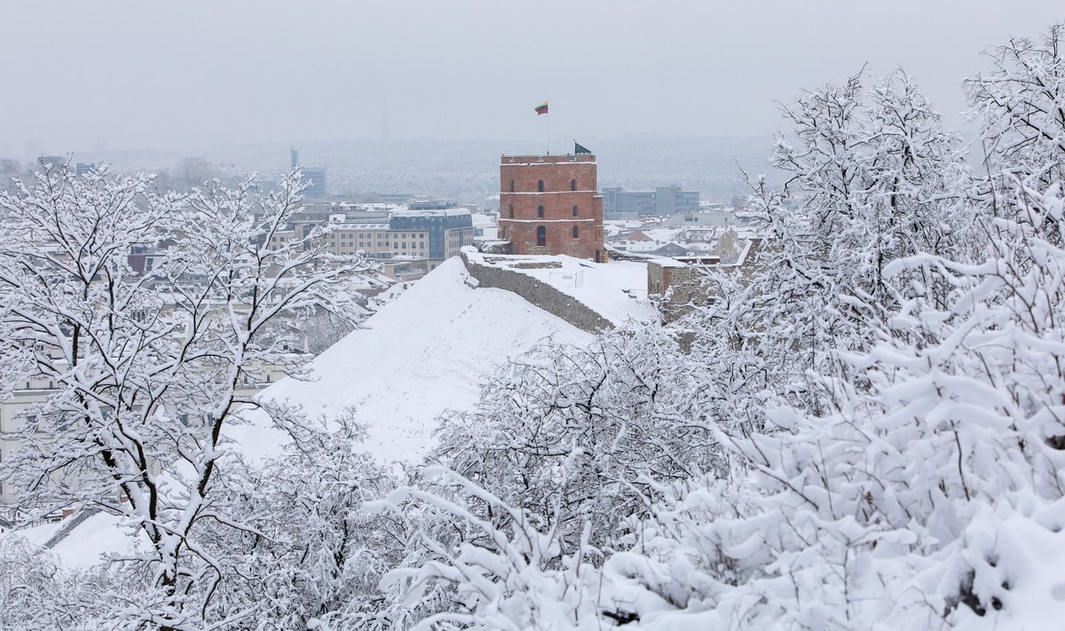 Sniegas, Vilnius